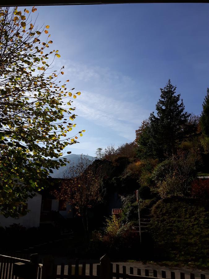 Bed and breakfast Les Volets Bleus Alsace Vosges