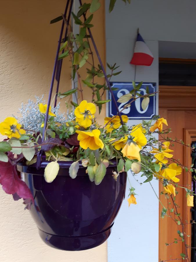 Les Volets Bleus Alsace Vosges Bed and breakfast 2*